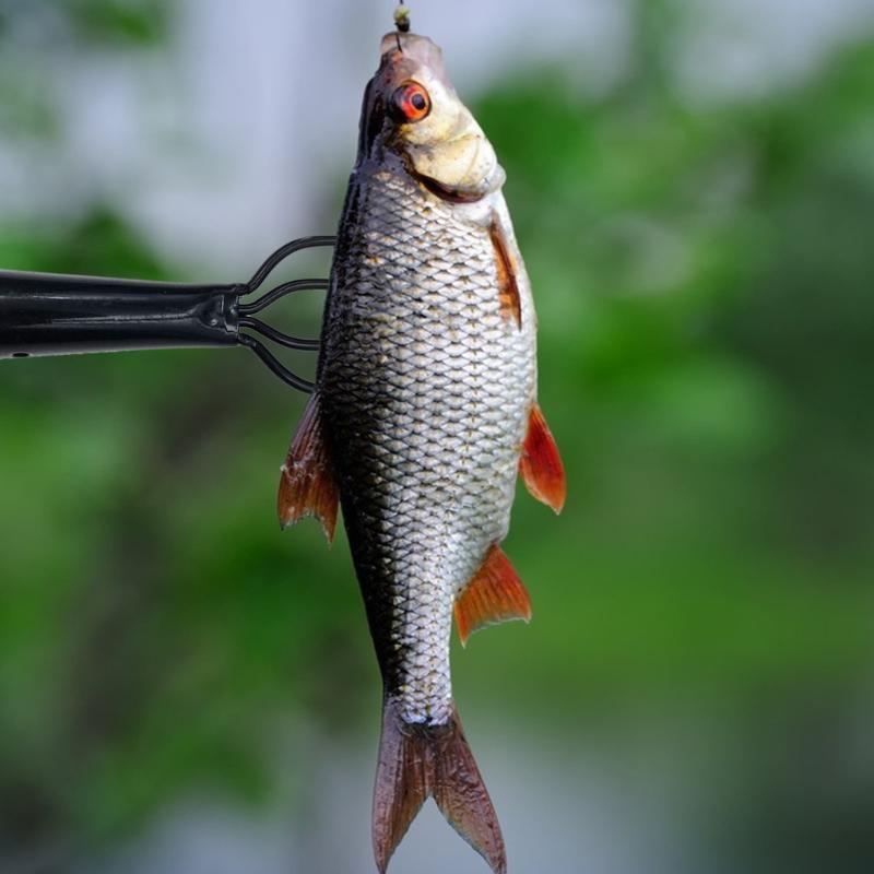 Fishing Rod Tip Replacement - R6FE 낚시 포크 봄 강철 낚시